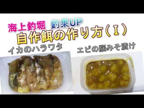 海上釣堀 釣果up 自作餌の作り方 イカのハラワタ エビの脳みそ漬け Youtube