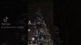 Уляна Слободян - Ну чому такий лютий сніг (Ірина Білик - Сніг)