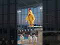 #AI #BANG #POP #BOOM #chicken #pool