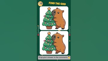 Test Your Sharp Eyes l can you spot the difference?  #youtubeshorts #shortsfeed #shorts #quiz