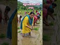 పనిలో సంతోషం#farming #godisgood #inspiration #subscribemychannel