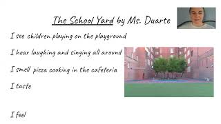 Write a 5 Senses Poem