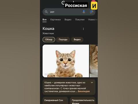 милая фишка в нугл - YouTube