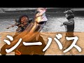 【シーバス】雨の濁りはチャンス倍増?!ルアーで狙うデイシーバス