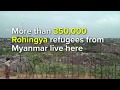 Rohingya history