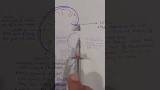 Parts Of Kidney?#biology #class12 #mcqs #nursingtest #studyshorts #pakistanstudents #deepbio