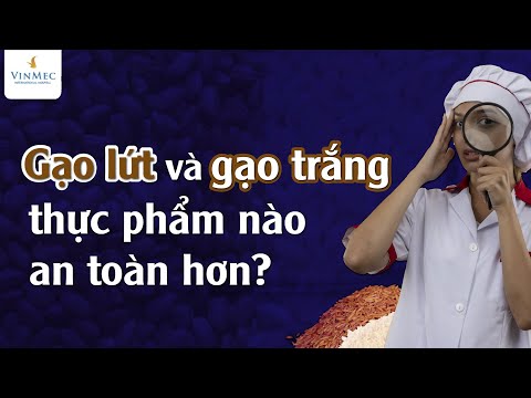 Video Gạo lứt và gạo trắng, thực phẩm nào an toàn hơn? - youtube