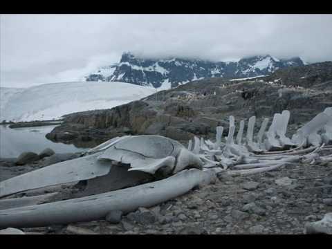 Video: Aan Die Rand Van Die Gletser