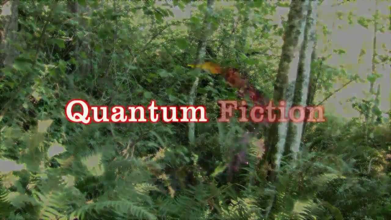 Quantum Fiction —  Reality Heaven