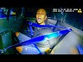 Obnoxious Woman Turns a Simple Traffic Stop Into 4 Felonies