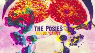 Video thumbnail of "The Posies / For the Ashes"