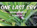 ONE LAST CRY -Brian Mcknight KARAOKE (lower key)