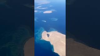 Fields of gold in Red Sea, Shadwan Island 🏝️  #shadawan #island #redsea #hurgada #sharmelsheikh