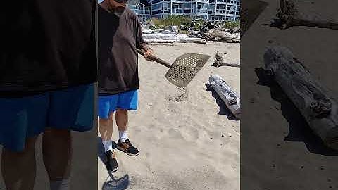 Metal Detector BEACH ⛱