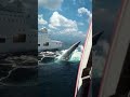 Atlantic oceansharkboats  trending viral news