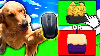 My DOG Chooses My FRUIT In ROBLOX Blox Fruits...