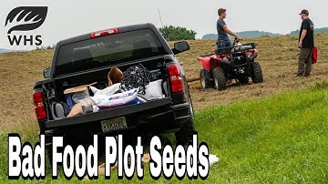 5 Bad Food Plot Seeds