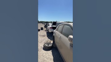 LKQ pick a part! Best Junk yard in America #shorts #cars #automotive