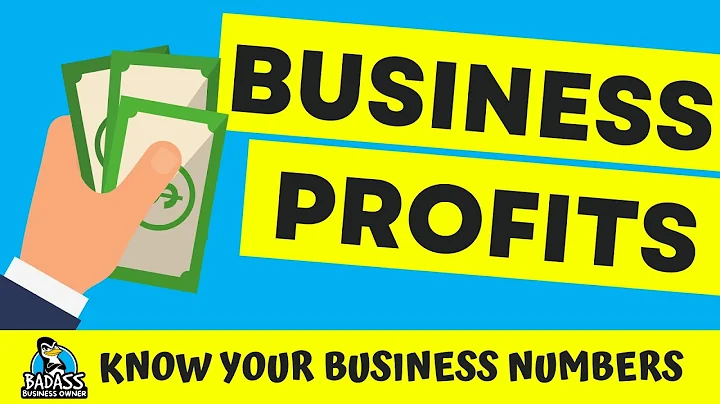What to Do with Your Business Profits