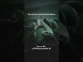 Данил Еременко — выпускник Мастерской