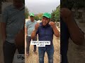 شاهد جمال أشجار الخروب من مدينة بوسعادة الجزائر الخضراء خضراء بإذن الله