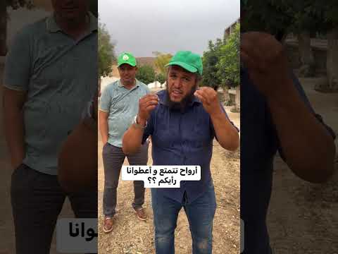 شاهد جمال أشجار الخروب من مدينة بوسعادة الجزائر الخضراء خضراء بإذن الله