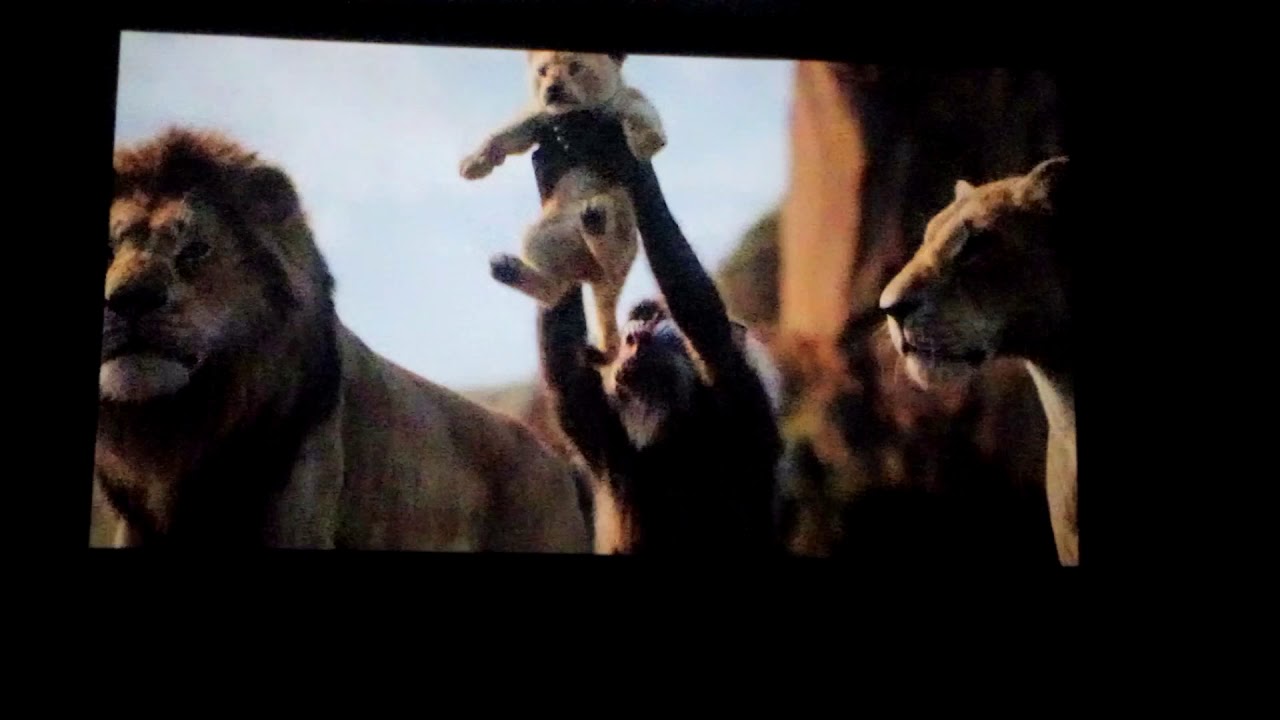 El rey león live action escena final YouTube