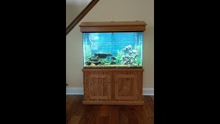 Part One : https://www.youtube.com/watch?v=lGK1S0fUyiI Second video of a three part series of a fish tank/ aquarium stand I built. 