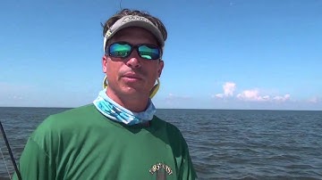 The best way to hook your live shrimp | Video