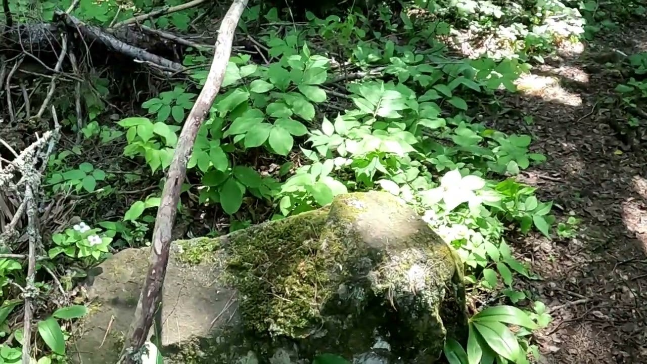Day 2 Minong Ridge--Stream near Little Todd Junction to North Desor
