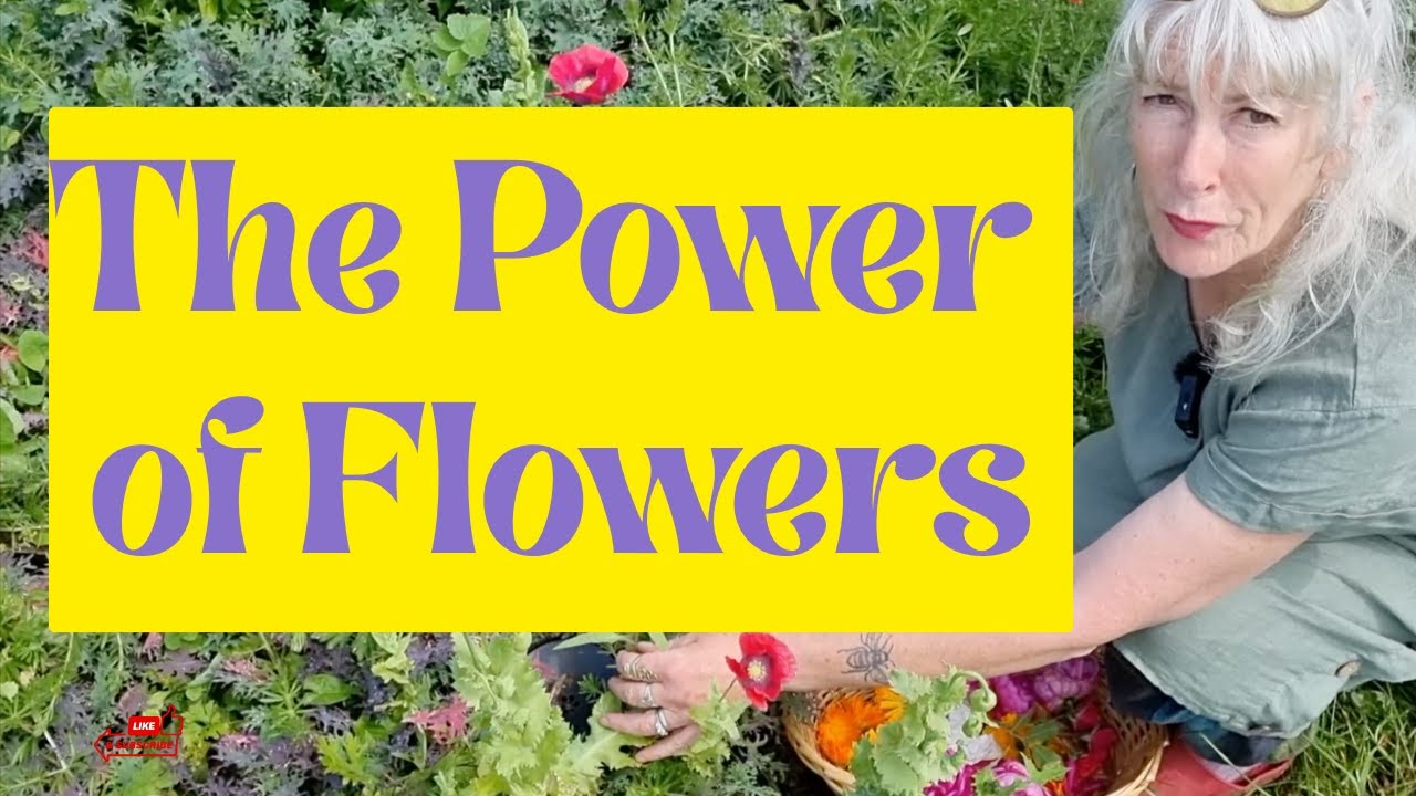 The Power of Flowers
