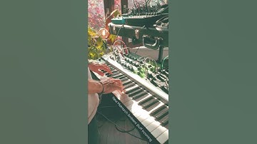 New matriarch ambient video incoming. I discovered more cool sounds 😎 #moogmatriarch #ambientmusic