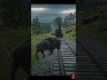 Bison Survival #shorts #rdr2