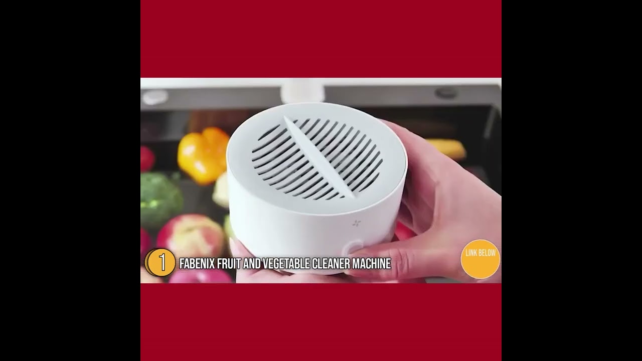 Fabenix Vegetable and Fruit Cleaning Machine : Best Vegetable and Fruit Cleaning Machine