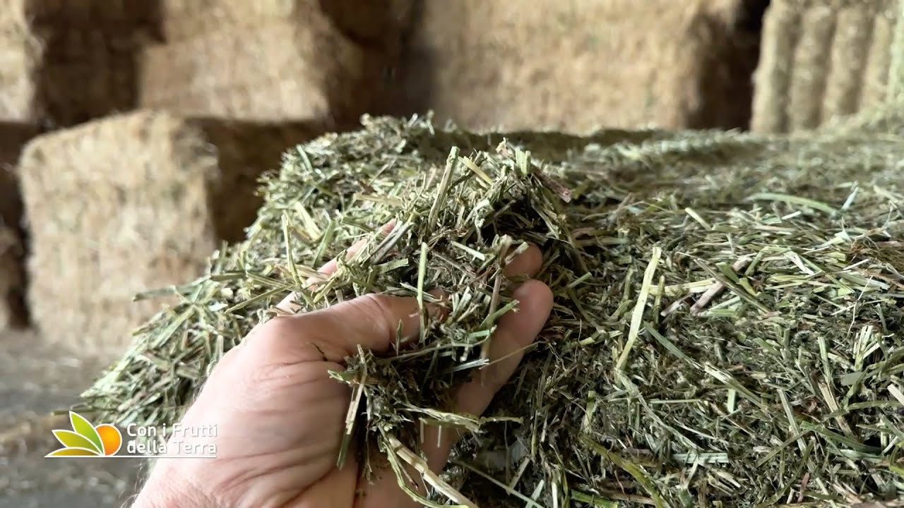 Agricole Forte dal feed al food