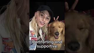 Seeing if I’m skz’s type- clips not mine | #kpop #kpopskz #skz #straykids #felix #leefelix
