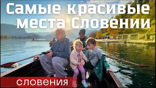 самые красивые места Словении: озеро Блед и Постойнская пещера