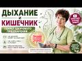 Как дыхание влияет на кишечник? Простая практика для пищеварения и снятия стресса