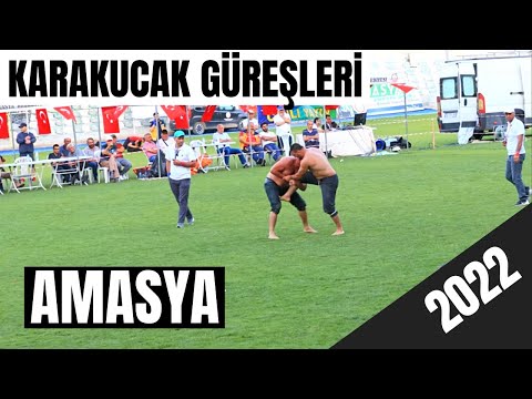 Video: Wrassles sözdür?