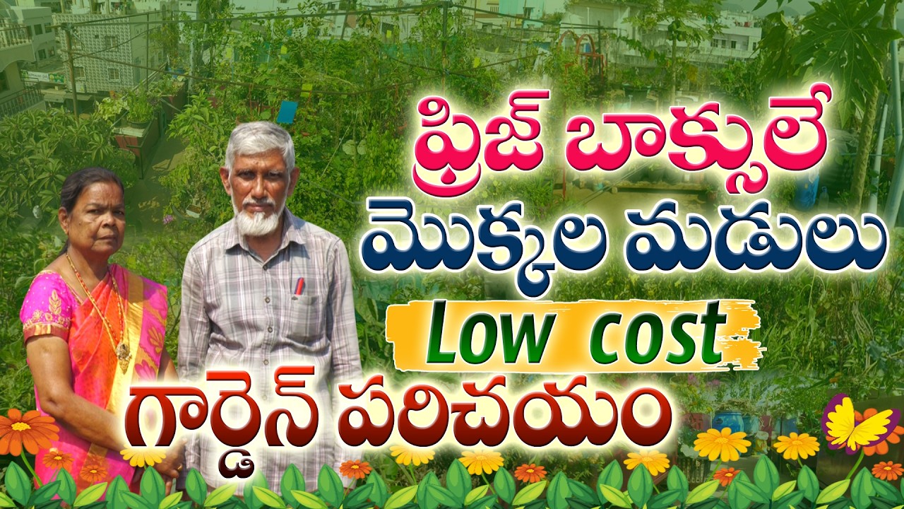 То, как был обустроен террасный сад, просто потрясающе! | Террасный сад Абидунниса