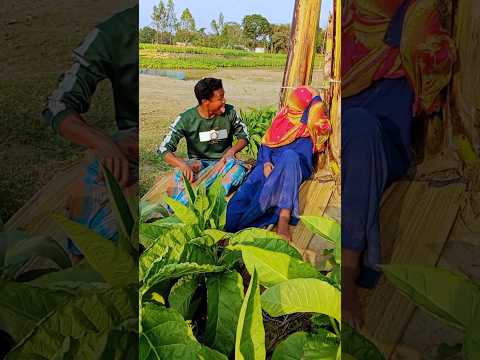 The girl was sitting.#villagefunny520 #funny #comedy #shorts #viralvideo #trending