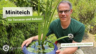 Ein Miniteich Für Balkon Und Terrasse, Wasser Im Garten, Mücken Bekämpfen Gardify Tipps