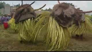 Bakweri Elephant Dance.