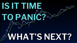 Everyone’s Panicking… Is This the Moment to Panic or to Prepare?