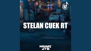 Download lagu Stelan Cuek RT