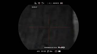 Pard Nightstalker 4K Ex Optics World