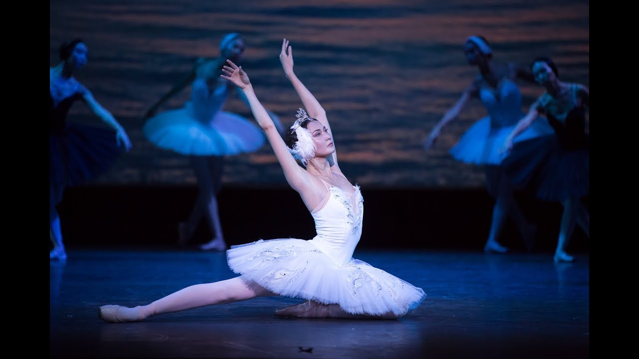 Swan Lake بحيرة البجع Youtube