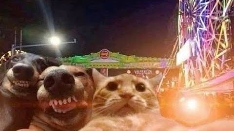 HOW TO DEPLOY X-OPTIMUS TELEGRAM USER BOT FOR FREE