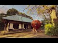 『チェンソーマン』トマトの悪魔　Chainsawman "The Tomato Devil"