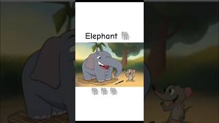 ek Mota hathi 🐘😍 #tranding #trendingshorts #viral #cattoon #elephantcartoon #elephant #funny #3d